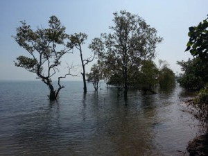 koh chang east coast waterfront 3